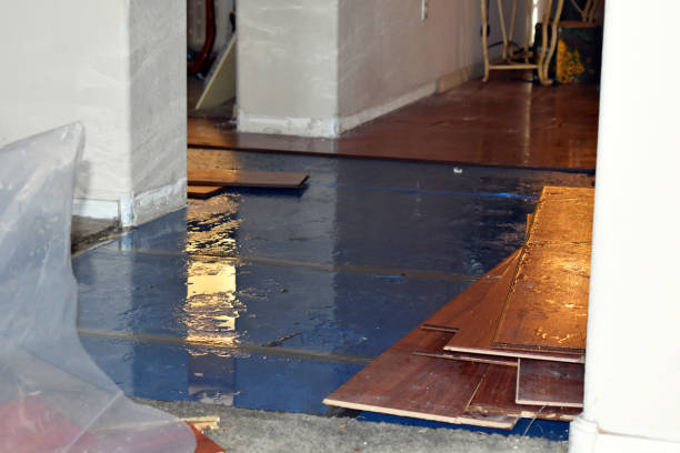 Professional Burst Pipe Cleanup technician working in Falls City, TX