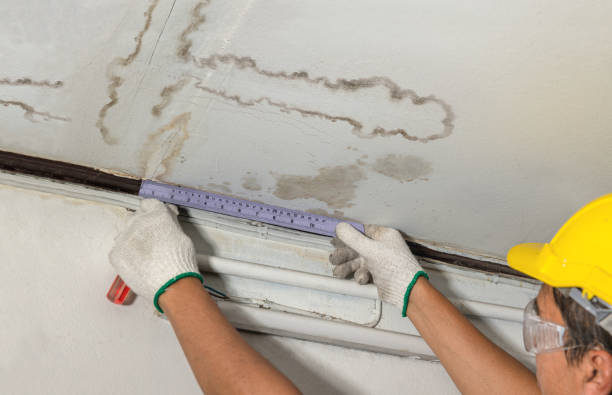 Reliable Burst Pipe Cleanup contractor in Falls City, TX by Water Damage Irwin